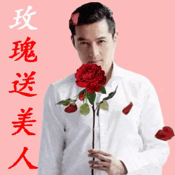 玫瑰送美人（老年人表情包）