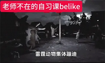 雷霆动物集体蹦迪gif梗图，老师不在的自习课belike~（疯狂的牧羊人游戏）