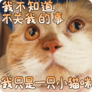 我不知道，不关我的事