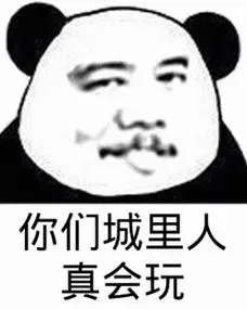 你们城里人真会玩