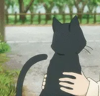 疯狂撸猫