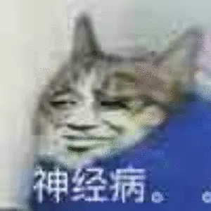 神经病。