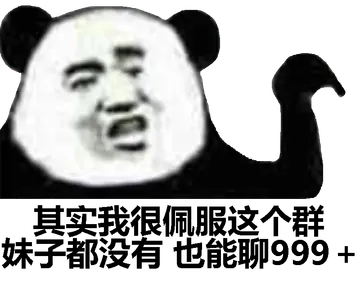 其实我很佩服这个群妹子都没有也能聊999+