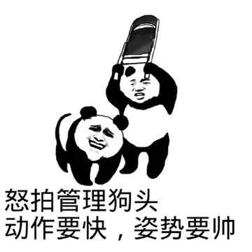 怒拍管理狗头，动作要快，姿势要帅