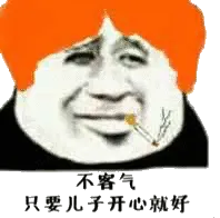 不客气只要儿子开心就好