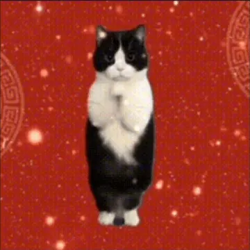 恭喜发财 万事如事 猫猫拜年表情包