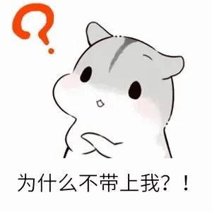 为什么不带上我