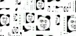 旋转熊猫人