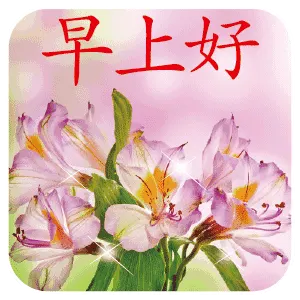 早上好