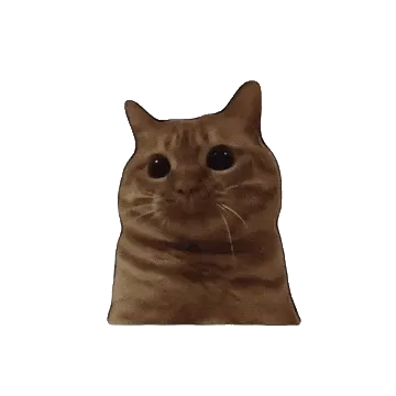 打人猫咪gif表情包