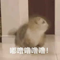 嘟噜噜噜噜!