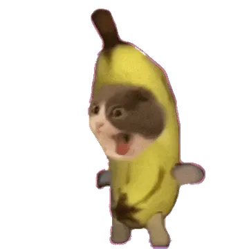 香蕉猫表情包合集