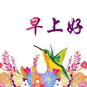 早上好
