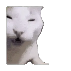 网红猫meme表情包第一弹（震惊猫）