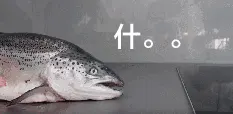 咸鱼：什么？！