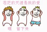 苍茫的天涯是我的爱，嘿！留下来！（罗罗布金馆长）