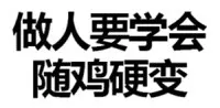 做人要学会随鸡硬变