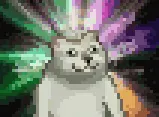 憨憨猫 GIF 动图