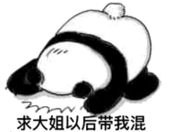 求大姐以后带我混