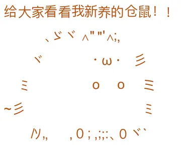 给大家看看我新养的仓鼠!!W彡三三,、0