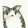 小猫