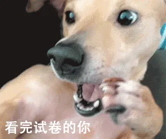 考试