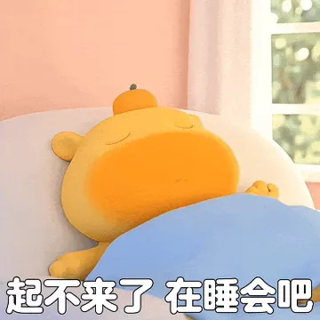 个性水豚噜噜表情包