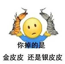 你掉的是 金皮皮还是银皮皮