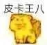 皮卡王八