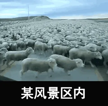 国庆节00032-某风景区内