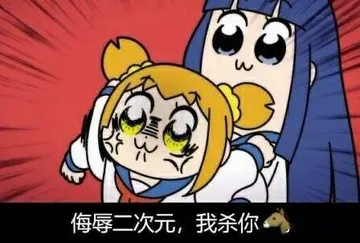 侮辱二次元.我杀你