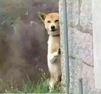 偷看！