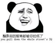 整条街的智商都被你们拉低了 you oull down the whole street's IQ