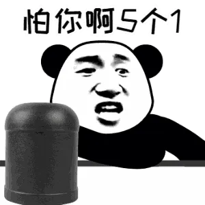 怕你啊5个1
