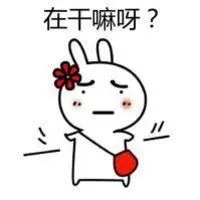 在干嘛呀？