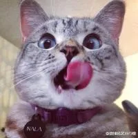 好好吃哦
