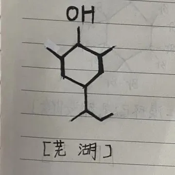 OH 芜湖〕