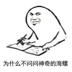 为什么不问问神奇的海螺