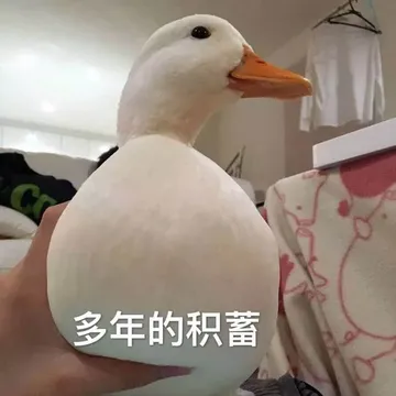 开心鸭00026-多年的积蓄