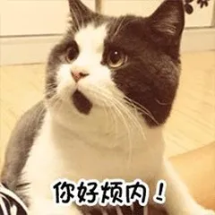你好烦内！