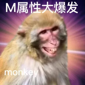 M属性大爆发monkey