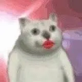 大口红小猫