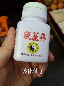 筑基丹(该修仙了)