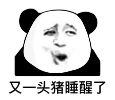 又一头猪睡醒了