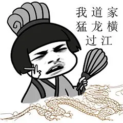我道猛龙横过江