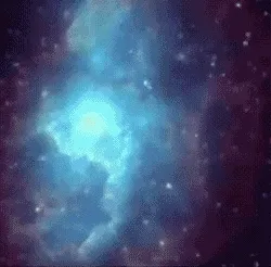 外星小猫gif表情包