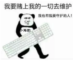 海豹 memes