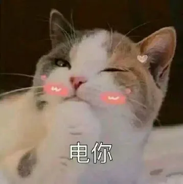 电你