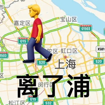 离了浦 离了谱离谱表情包