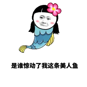 是谁惊动了我这条美人鱼